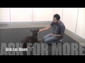 Teaching you dog how to Sit, Down and Stand on Cue using Lure and Reward Training Teaching you dog how to Sit, Down and Stand on Cue using Lure and Reward Training