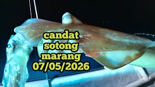 Candat sotong marang 07/05/2026