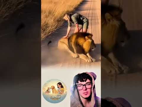 رابطة مذهلة اللعب مع أسد مهيب Trending Viral 