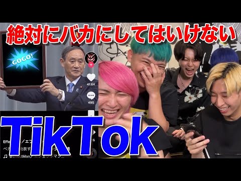 【削除覚悟】絶対にバカにしてはいけないTikTok【ネクステ】