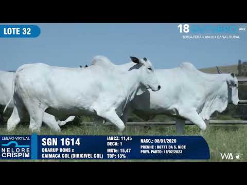 LOTE 32 SGN 1614,1477,1402
