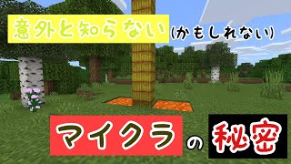 【統合版マイクラ】意外と知らないマイクラの秘密5選【衝撃】