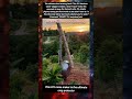 ​This DIY noise maker is the ultimate crop protector​  #CropProtection#GardeningHacks#BirdScaring