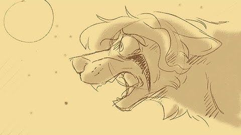 Little bird - Pandoras choris PMV