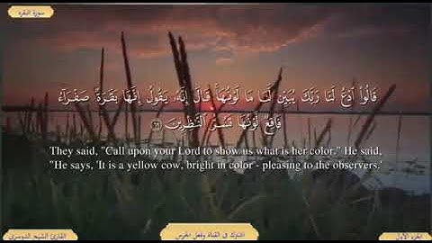سورة البقرة من الاية ( 67 ) الى الاية ( 74 ) مكررة للحفظ بصوت ( ياسر الدوسري )