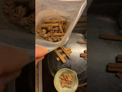 Video: Er cinnamomum burmannii ceylon kanel?