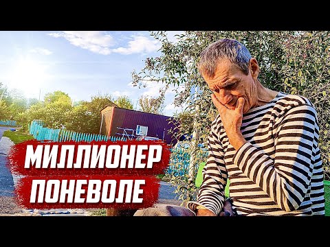 Все в хуторе МИЛЛИОНЕРЫ! | Ростовская обл, Константиновский р/н х.Старозолотовский