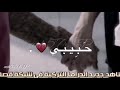 هات ايدك حبيبي🥺#الازهار الحزينه