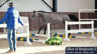 Elliot vd Berghoeve Z