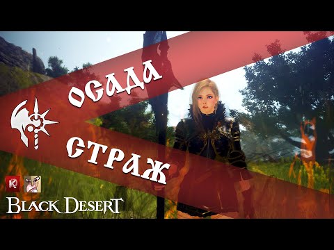 Видео: Осада В1, всем прожаться / Страж / Black Desert 2024