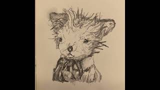 trees grow hands - jumping out the coffin