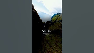 القارئ محمد النقيب
