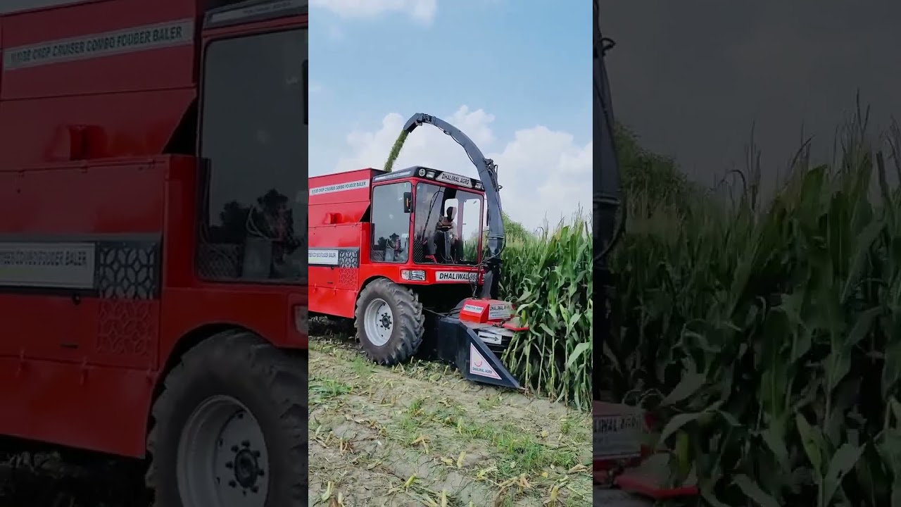 combine sileage harvester c.94171-98764