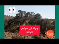 تحويسة في حواص بالجلفة جولة في الطبيعة Djelfa 