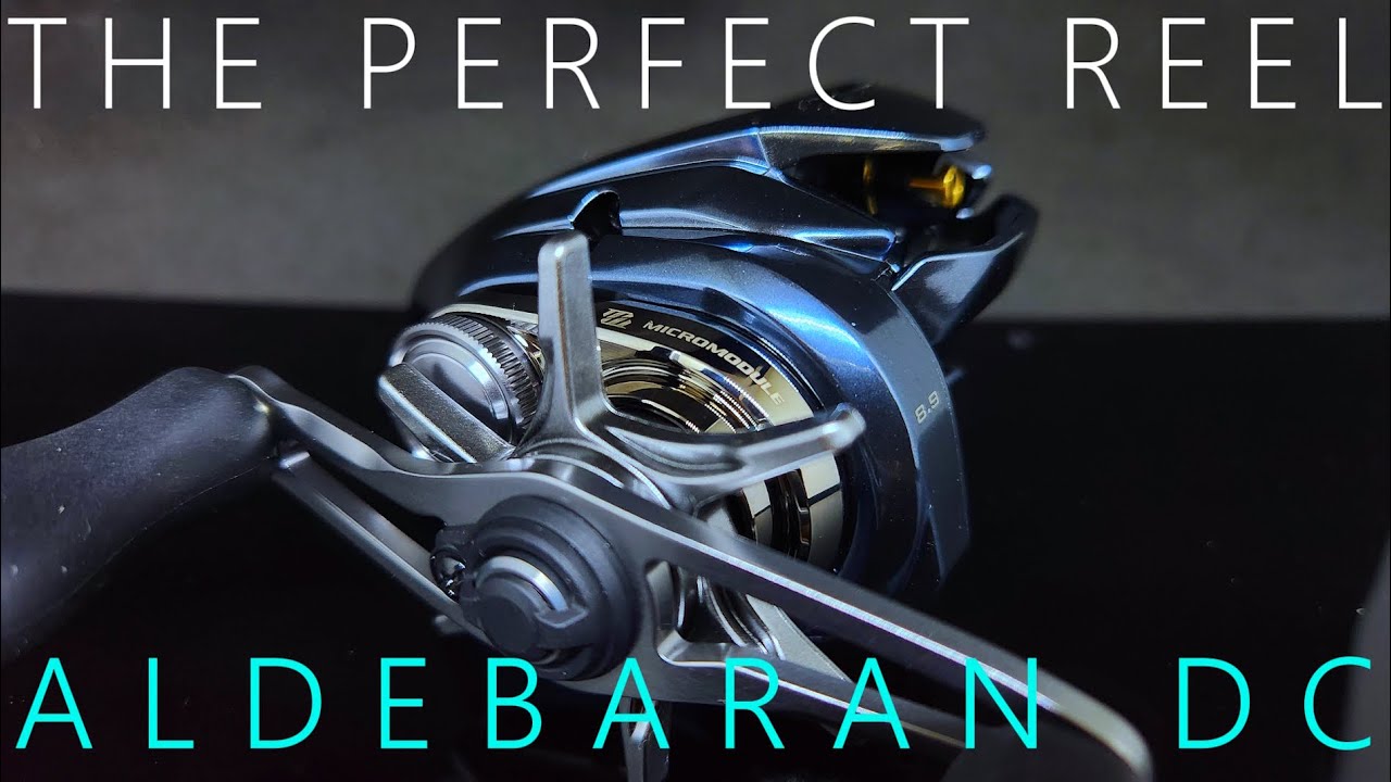 Shimano 25 Aldebaran DC 30XG Right-Hand Baitcasting Reel – JDM
