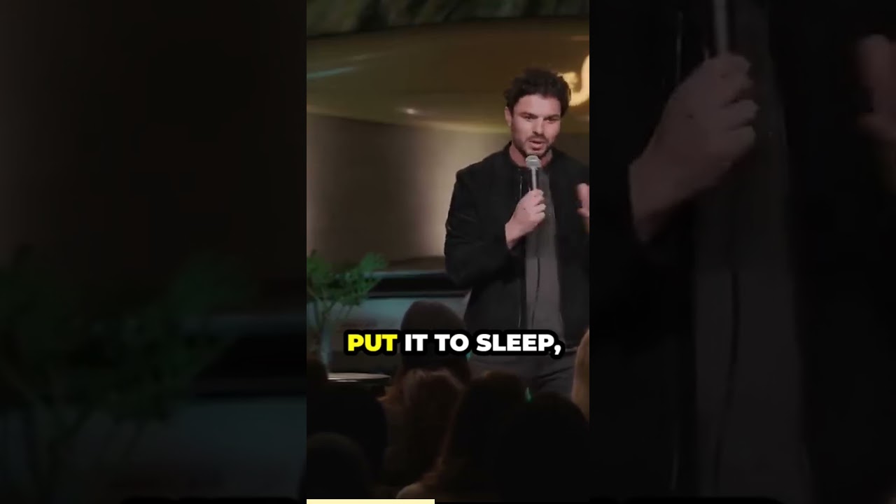 Shelter Dogs (Amos Gill) 