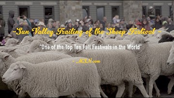 Trailing of the Sheep - Sun Valley, Idaho