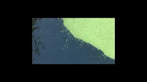 Sophie Jamieson - Forward (Official Video)