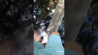 Famous #shorts #snakes #python #wild #discovery (1) Profile