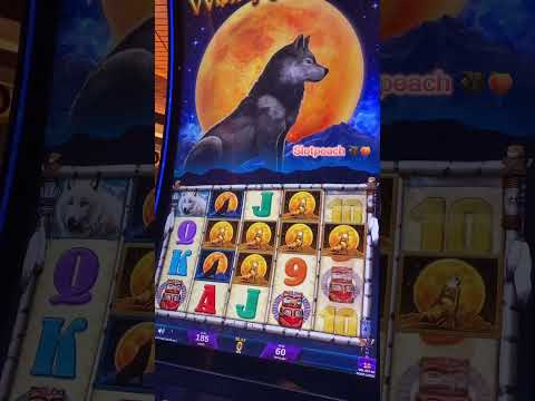 Wolf Winner Casino Wolf Spins Casino: Spin & Win in Australia