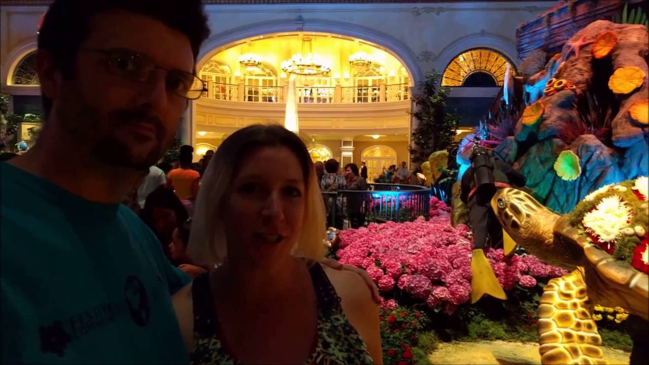 fisher argentina Under the Sea - Bellagio Conservatory