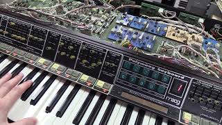 What Is All That Stuff Inside A Polymoog (by synthpro)