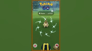 🐲 My Axew Community Day