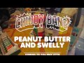 Chiddy Bang - I Can't Stop (Freestyle) - Peanut Butter and Swelly - NEW!