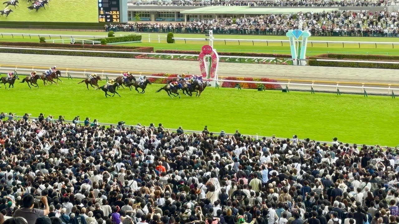 第87回優駿牝馬 （オークス）の煽りV〜ファンファーレ〜レース