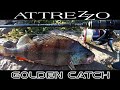 РЫБАЛКА С НОВИНКОЙ GOLDEN CATCH ATTREZZO 710LT