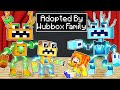 Adopted by the WUBBOX FAMILY in Minecraft!