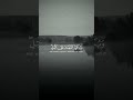 سلمان العتيبي