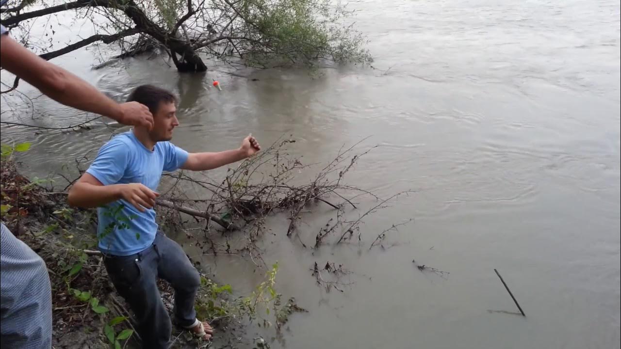 Рыбы реки терек. Белое озеро рыба. Малек кумжи. Сазан много. Терек рыба.
