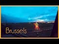 BRUSSELS (EBBR) - APPROACH AND LANDING - A320 Cockpit View