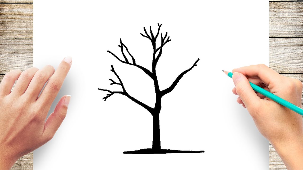 Featured image of post Easy Tree Drawing Without Leaves - How to draw a tree without leaves step by step for kids how to draw a tree without leaves.