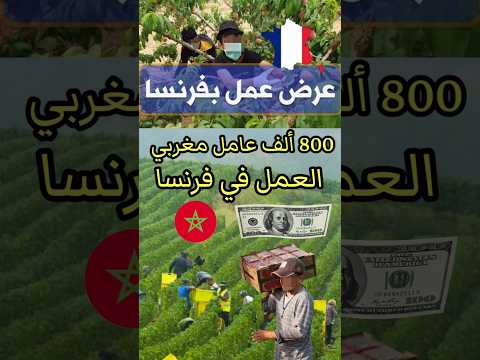 عمال مغاربة العمل فرنسا 