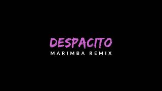 Despacito Ringtone (Luis Fonsi) | iPhone Marimba Remix