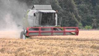 Moisson blé 2011