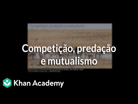 Vídeo: O que significa quando um relacionamento mutuamente benéfico se torna interdependente?