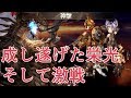 ついにランク200到達！開放クエの敵クソ強くてワロタｗｗｗ【グラブル】