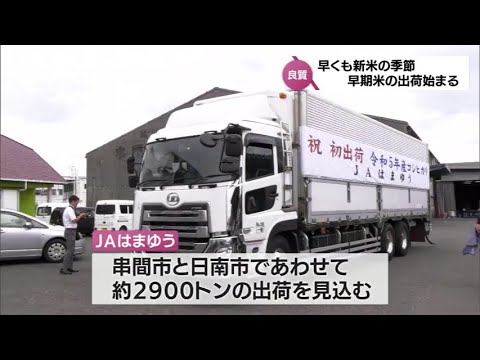 早くも新米 宮崎県内の一部地域で早期米の出荷が始まる - YouTube