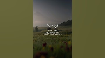 "فَفِرُّوا إِلَى الله" تلاوة خاشعة القارئ ناصر القطامي | Surah Adh-Dhariyat - Nasser Al Qatami 🍃❤️
