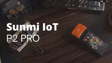 SUNMI P2 Pro