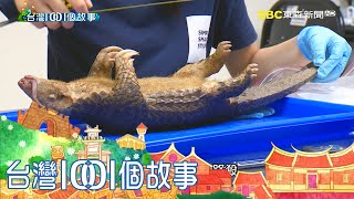 全台最大撿屍集團 路殺社發起萬人公民科學參與part6 台灣1001個故事｜白心儀