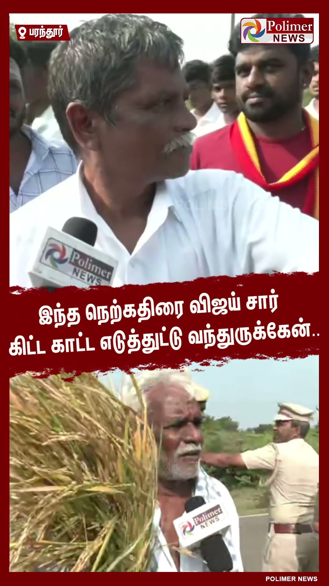 இந்த நெற்கதிரை விஜய் சார் கிட்ட காட்ட எடுத்துட்டு வந்துருக்கேன்..!! #shorts | #tvk | #vijay