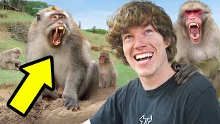 This Monkey Wanted To Fight Me!