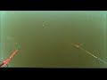 Sturgeon Spearing 2020 2 Last Day Sturgeon Spearing 2020 2 Last Day