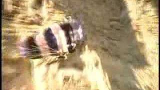 BASE JUMPING WALL STRIKE