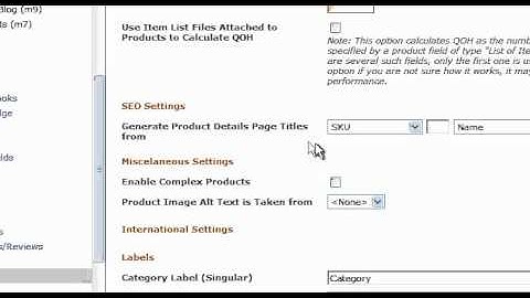 Ecommerce SEO Settings - Websiteforge Ecommerce Website