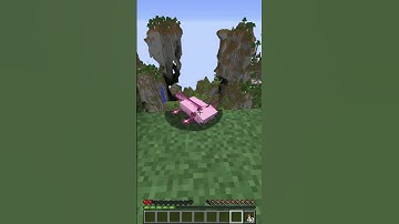 My pet axolotl tried to fly in Minecraft! 😳 #Shorts